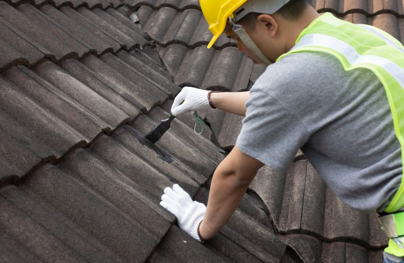 Roofing Professional at Work